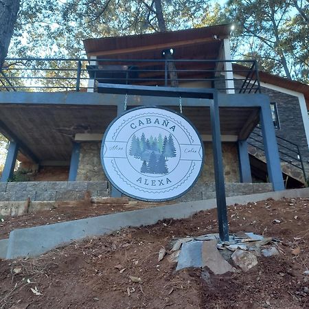 Cabana "Alexa", En El Corazon Del Bosque De Мазамитла Экстерьер фото