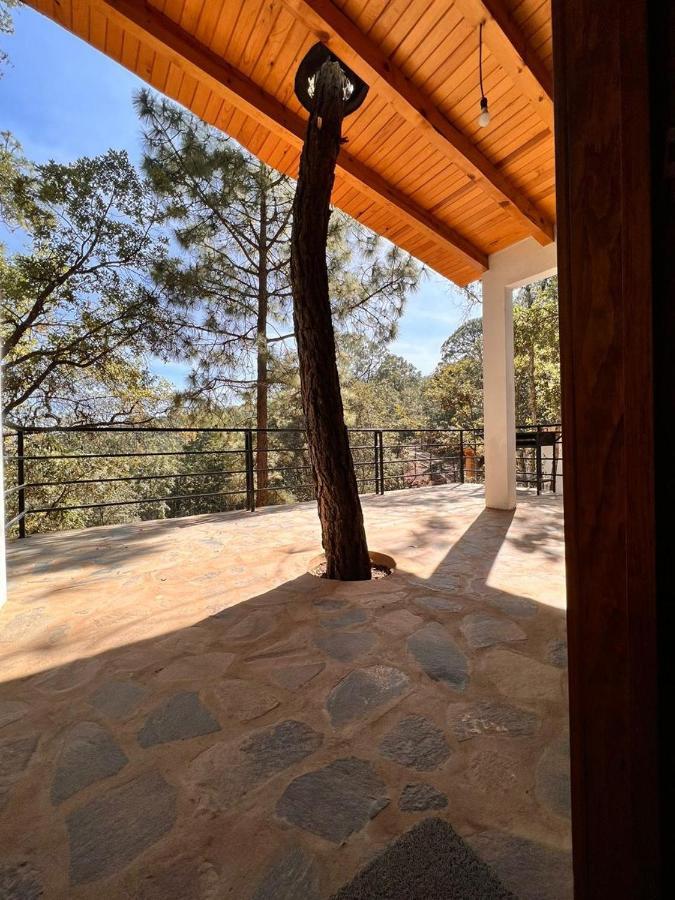Cabana "Alexa", En El Corazon Del Bosque De Мазамитла Экстерьер фото