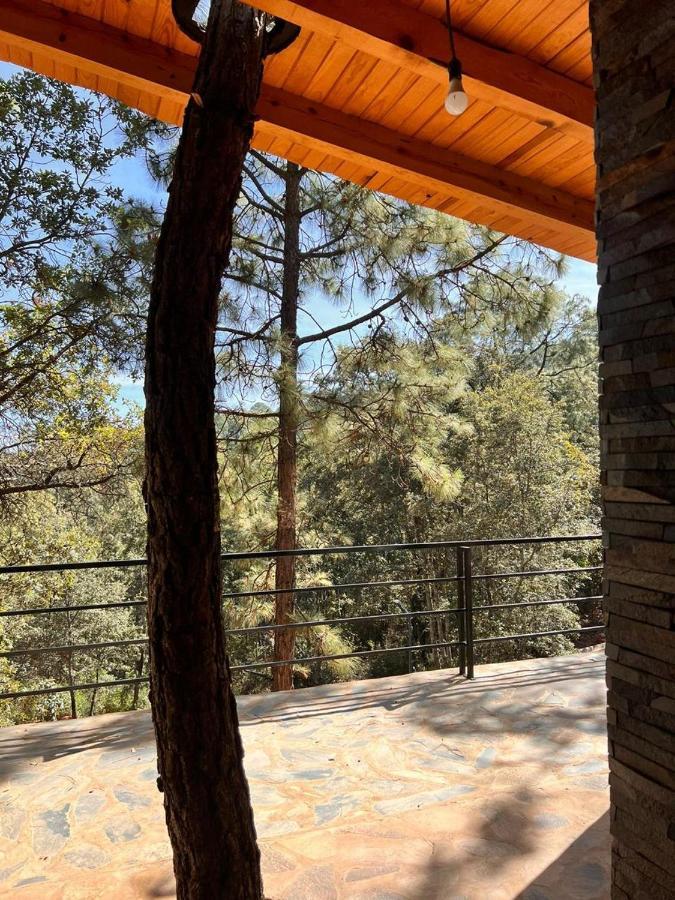 Cabana "Alexa", En El Corazon Del Bosque De Мазамитла Экстерьер фото