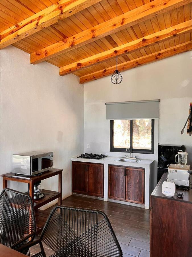 Cabana "Alexa", En El Corazon Del Bosque De Мазамитла Экстерьер фото